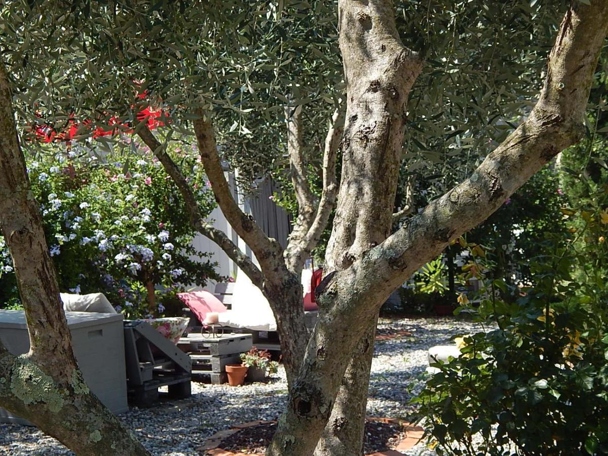 B&B Piè del Castello Levanto Esterno foto
